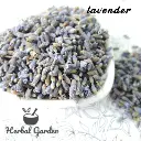 lavender 2.webp