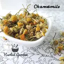 chamomile 2.webp