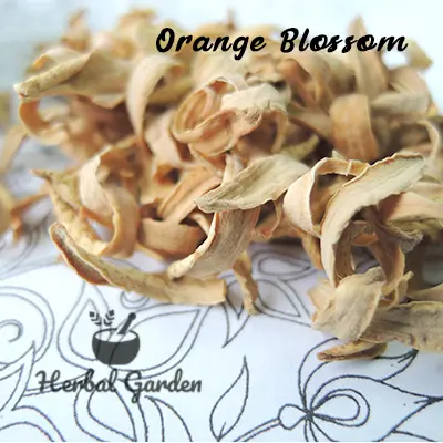 Orange Blossom 1.webp