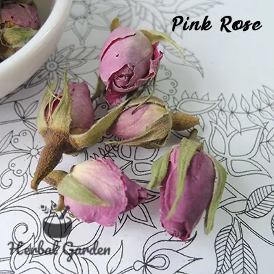 pink rose B.webp