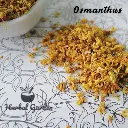 osmanthus 4.webp