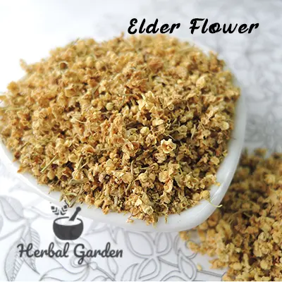 接骨木花(Elder Flower)-30g