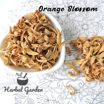 橙花(岱岱花)(Orange Blossom)-30g