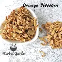 橙花(岱岱花)(Orange Blossom)-30g