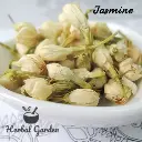 苿莉花(Jasmine)-30g