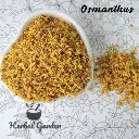 桂花(Osmanthus)-30g