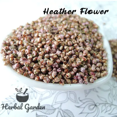 歐石楠花(Heather Flower)-25g