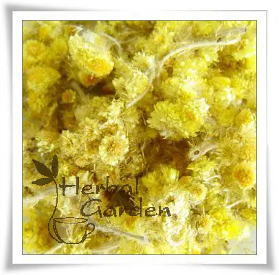 有機蠟菊(Organic Helichrysum Flowers)-15g