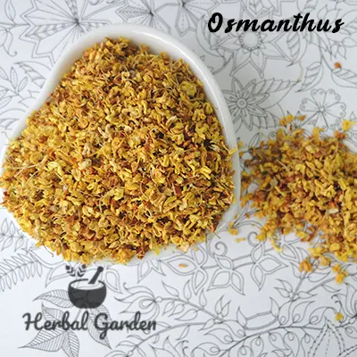 桂花(Osmanthus)-30g