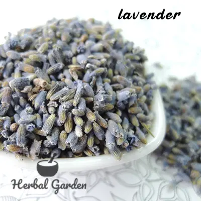 薰衣草(Lavender)-30g